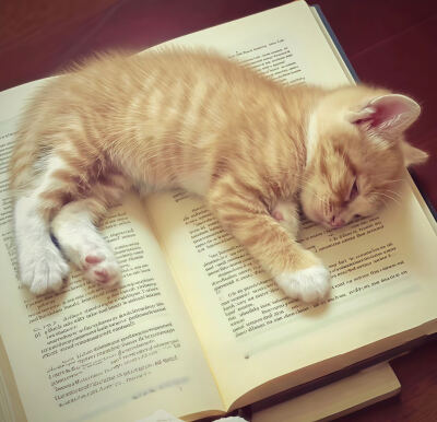 时针走过一个圈 我们又向前