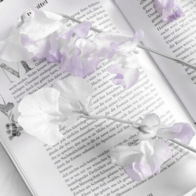 人总是执着于第一眼喜欢上的人或物 此后遇到的全是宛宛类卿