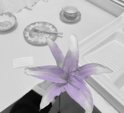 人总是执着于第一眼喜欢上的人或物 此后遇到的全是宛宛类卿