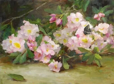 凯西·安德森（Kathy Anderson）美国女画家。她以对花卉和花园的独特诠释以及优美的风景而闻名，主要从事生活中的油画作品创作。