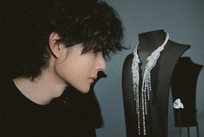 2025.7.13Q王一博香奈儿臻品珠宝活动