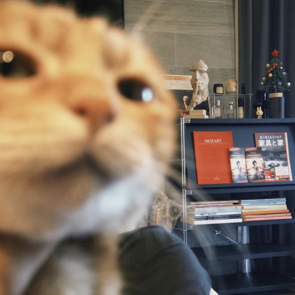 头像丨男头 我根本不需要过年我只需要假期