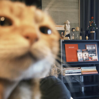 头像丨男头 我根本不需要过年我只需要假期