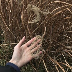 头像丨男头 我根本不需要过年我只需要假期