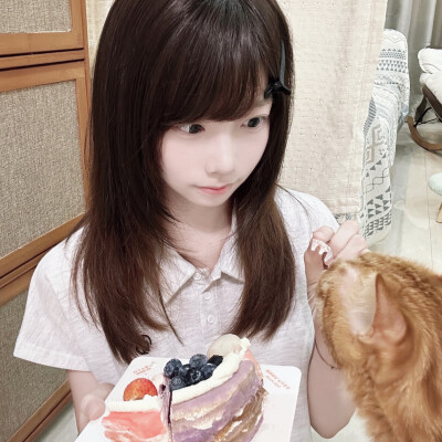 爱如雨中耽溺的蝴蝶