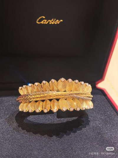 卡地亚Cartier，图源水印，侵删