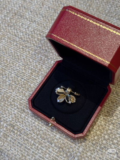 卡地亚Cartier，图源水印，侵删