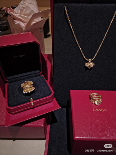 卡地亚Cartier，图源水印，侵删