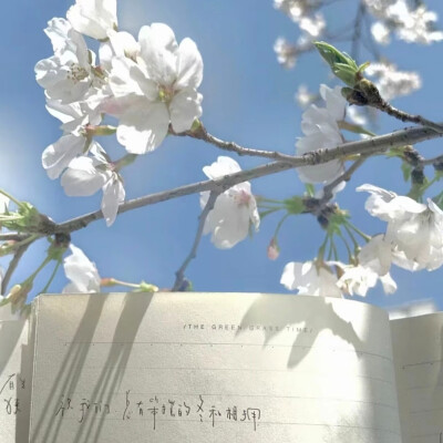 ins风背景图