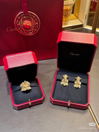 卡地亚Cartier，图源水印，侵删