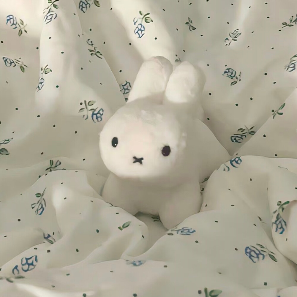 ins风背景图