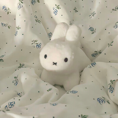 ins风背景图