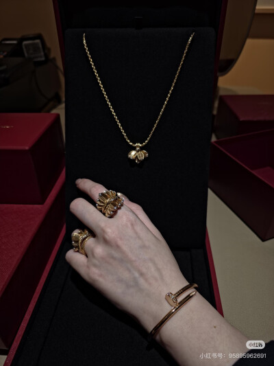 卡地亚Cartier，图源水印，侵删