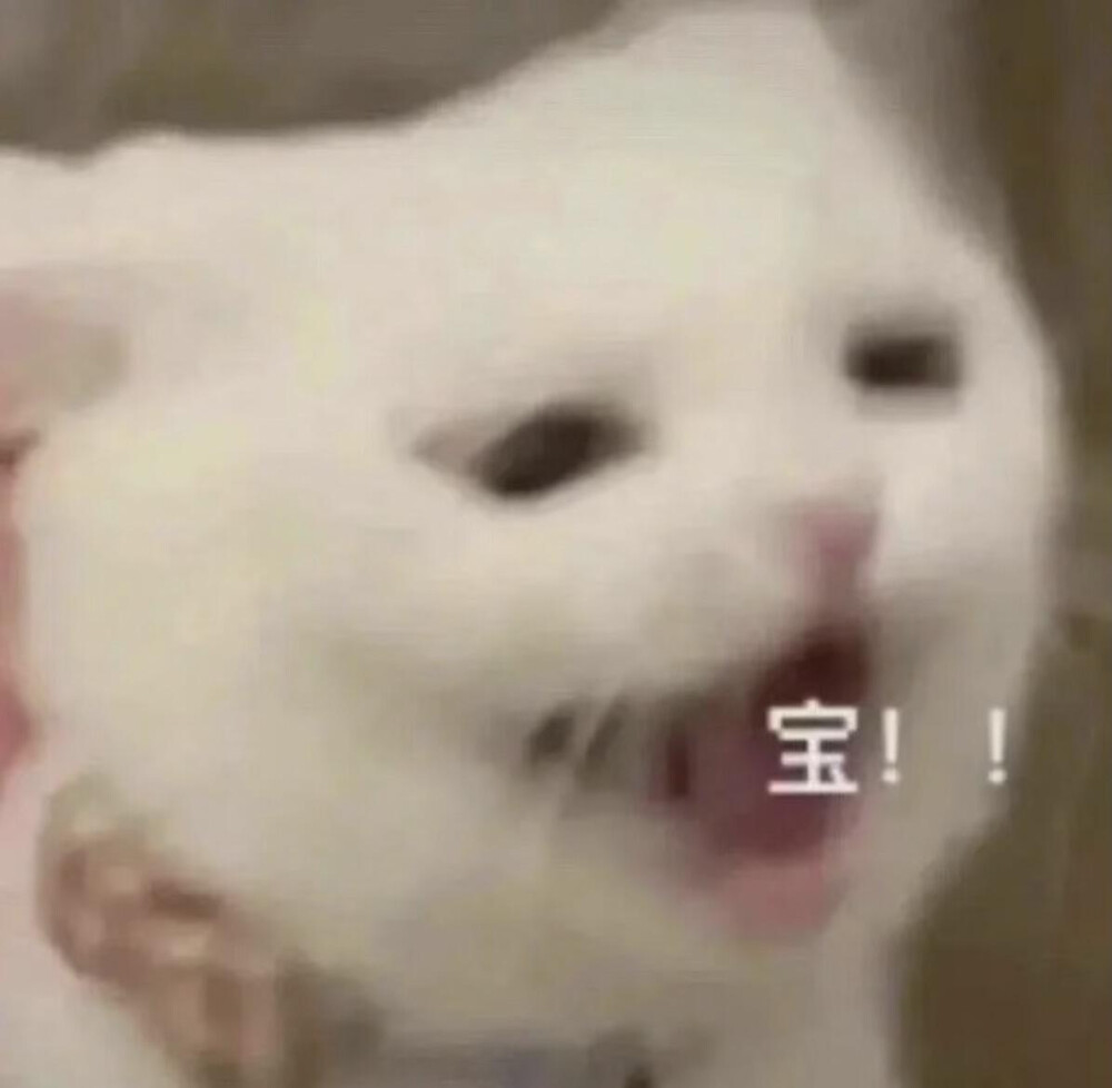 你很胖 才不是毛茸茸