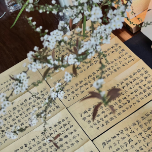 ins背景图