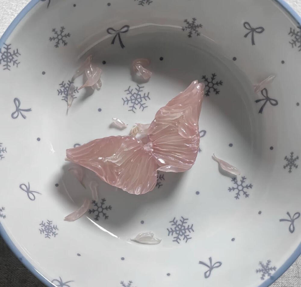 蝴蝶