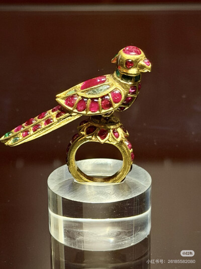 璀璨-小红书转载