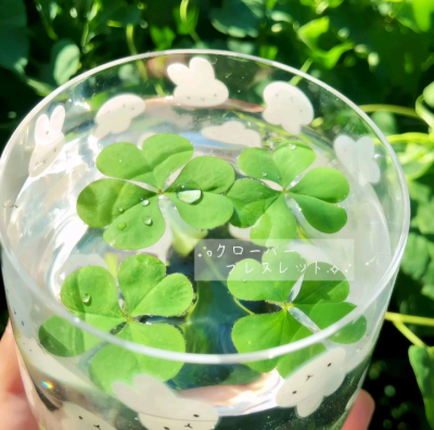 四叶草背景图 ins背景图