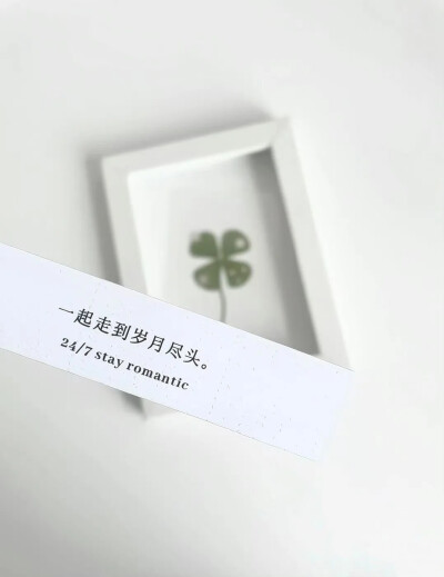 四叶草背景图 ins背景图