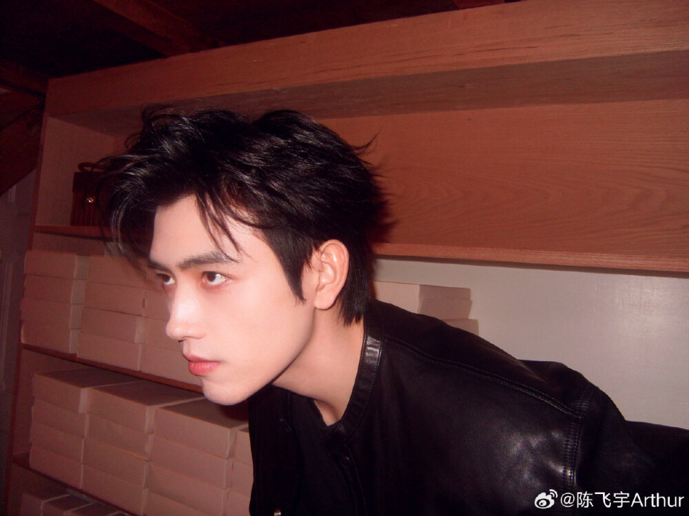 陈飞宇