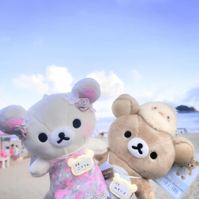 最近健忘症越来越严重了我到底是谁的宝宝