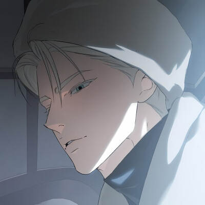 漫画：代号Anastasia
作者：은비 한
动漫男头Δ