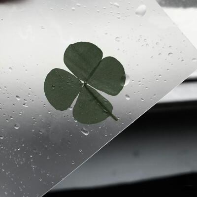 四叶草背景图 星星背景图 ins背景图