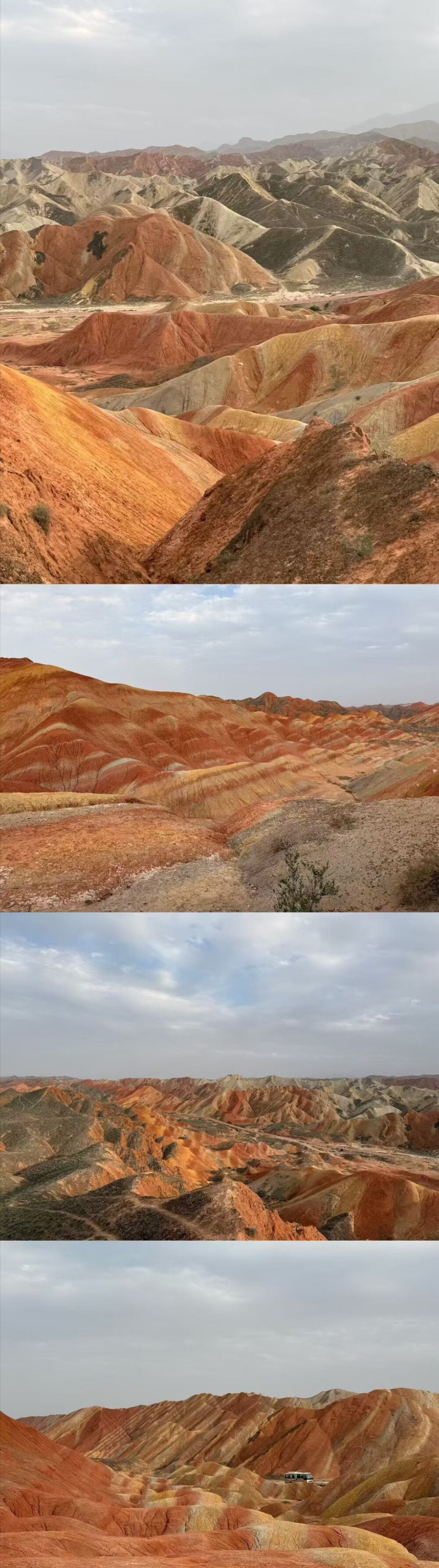壁纸
