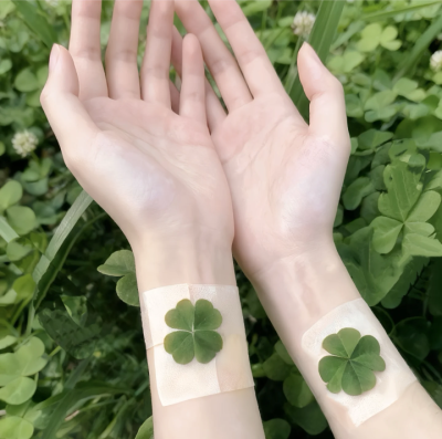 四叶草背景图 ins背景图