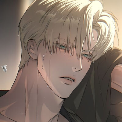 漫画：代号Anastasia
作者：은비 한
动漫男头Δ