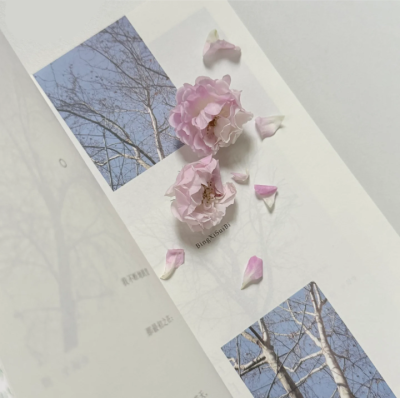 白色系背景图 ins背景图