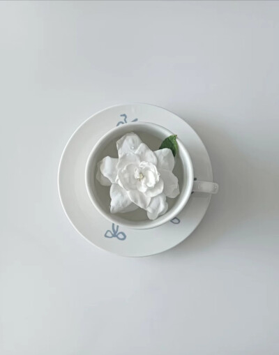 白色系背景图 ins背景图