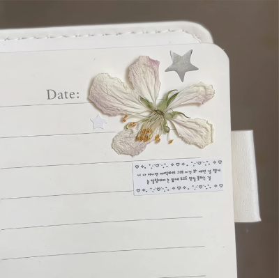 白色系背景图 ins背景图