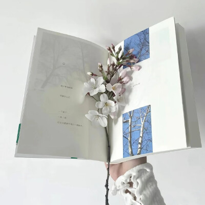 白色系背景图 ins背景图