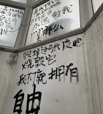 ʅǝqɹonᴉʅʅɐɹp