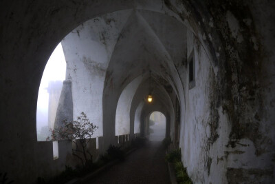 ʅǝqɹonᴉʅʅɐɹp