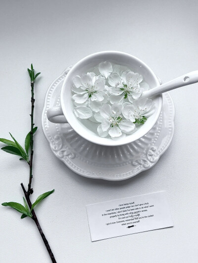 白色系背景图 ins背景图