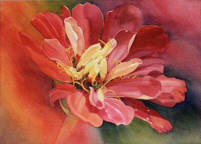 艺术家Marney Ward笔下的水彩花卉散发着洁净的光，花瓣是那么轻柔娇嫩，如沐浴在和煦的风中，连阴影都透着温柔。