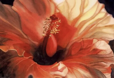 艺术家Marney Ward笔下的水彩花卉散发着洁净的光，花瓣是那么轻柔娇嫩，如沐浴在和煦的风中，连阴影都透着温柔。