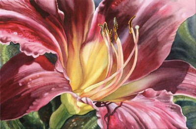 艺术家Marney Ward笔下的水彩花卉散发着洁净的光，花瓣是那么轻柔娇嫩，如沐浴在和煦的风中，连阴影都透着温柔。