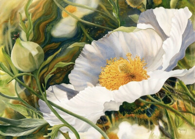 艺术家Marney Ward笔下的水彩花卉散发着洁净的光，花瓣是那么轻柔娇嫩，如沐浴在和煦的风中，连阴影都透着温柔。