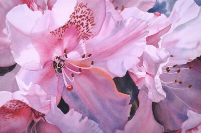 艺术家Marney Ward笔下的水彩花卉散发着洁净的光，花瓣是那么轻柔娇嫩，如沐浴在和煦的风中，连阴影都透着温柔。