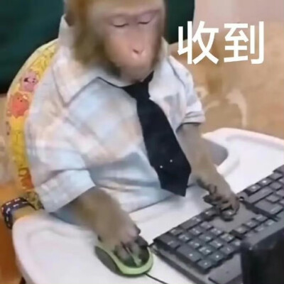 表情包