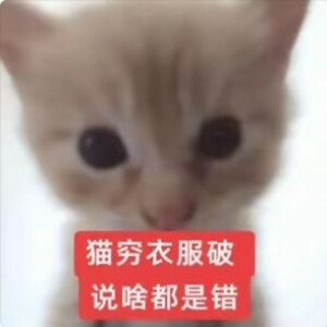 表情包