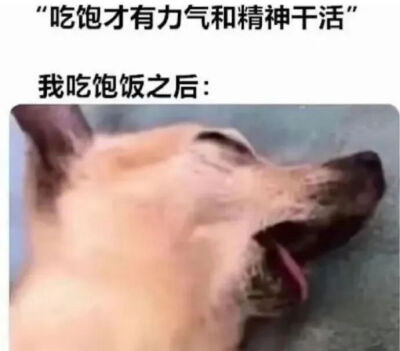 表情包