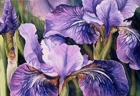 艺术家Marney Ward笔下的水彩花卉散发着洁净的光，花瓣是那么轻柔娇嫩，如沐浴在和煦的风中，连阴影都透着温柔。