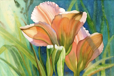 艺术家Marney Ward笔下的水彩花卉散发着洁净的光，花瓣是那么轻柔娇嫩，如沐浴在和煦的风中，连阴影都透着温柔。