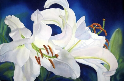 艺术家Marney Ward笔下的水彩花卉散发着洁净的光，花瓣是那么轻柔娇嫩，如沐浴在和煦的风中，连阴影都透着温柔。