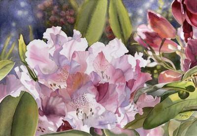 艺术家Marney Ward笔下的水彩花卉散发着洁净的光，花瓣是那么轻柔娇嫩，如沐浴在和煦的风中，连阴影都透着温柔。