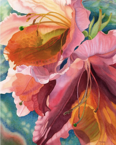 艺术家Marney Ward笔下的水彩花卉散发着洁净的光，花瓣是那么轻柔娇嫩，如沐浴在和煦的风中，连阴影都透着温柔。